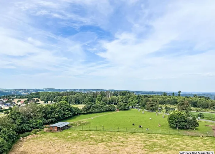 Tiny Haus Westerwald 16 By Interhome باد مارينبرغ